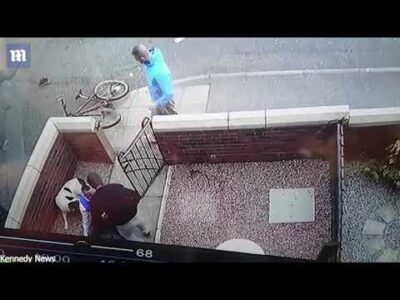 Speeding cyclist flips over garden wall – The dog was uninjured