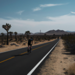 Cycling through Joshua Tree National Park