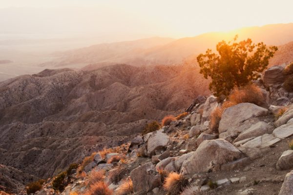 Segment Series – Exploring Joshua Tree’s Keys View Road