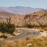 A winding road through the desert landscape of Joshua Tree National Park with rocky mountains and iconic Joshua trees.
