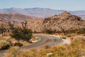 A winding road through the desert landscape of Joshua Tree National Park with rocky mountains and iconic Joshua trees.